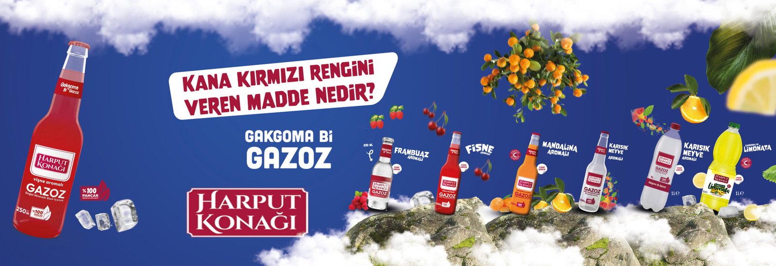 Harput Konağı - Elazığ'dan Dünyaya
