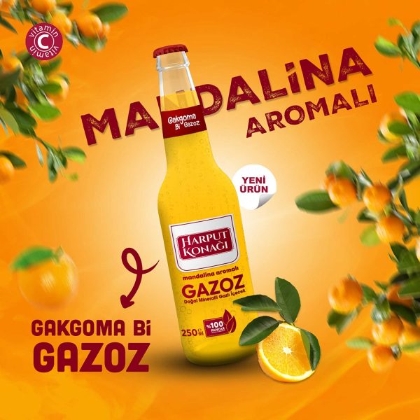 Mandalina Aromalı Gazlı İçecek 250ml
