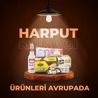 harput-konağı-ihracat