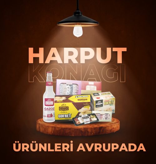 harput-konağı-ihracat